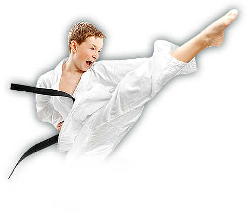 Kids Martial Arts - Karate Images Png (501x433), Png Download