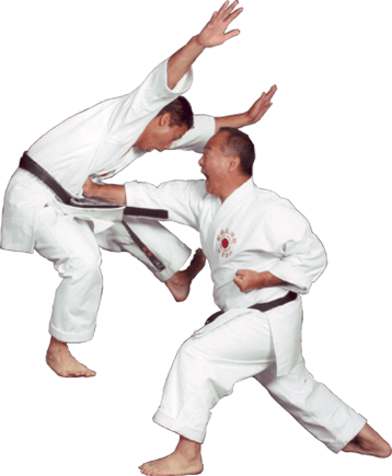 Download - Shotokan Karate (358x435), Png Download