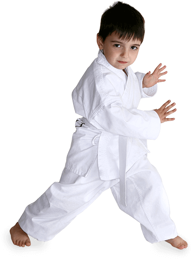 Kids Martial Arts - Child Martial Arts (393x522), Png Download
