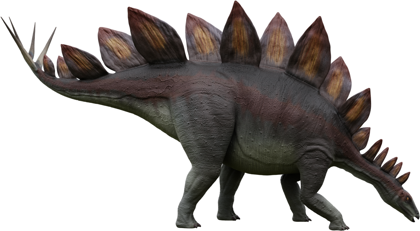 Stegosaurus (1920x1080), Png Download