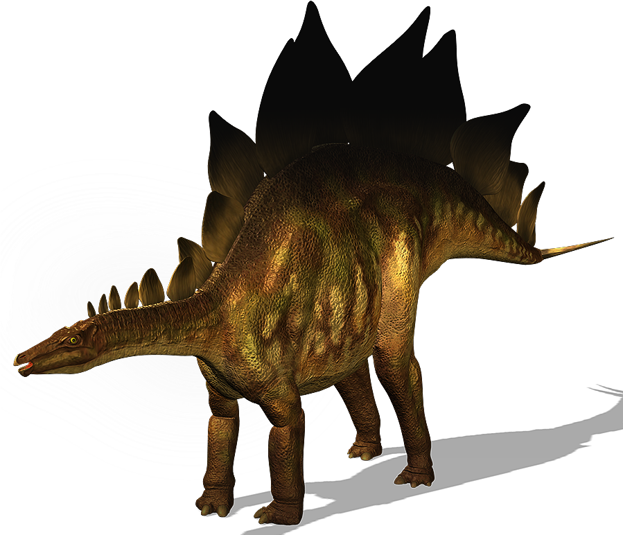 Stegosaurus - Stegosaurus Walking With Dinosaurs (898x784), Png Download