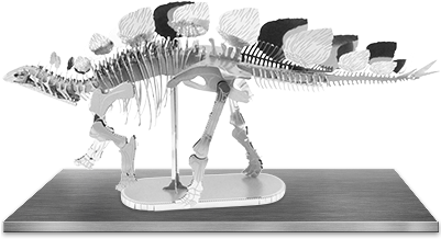 Picture Of Stegosaurus Skeleton - Fascinations Metal Earth 3d Laser Cut Model - Stegosaurus (400x300), Png Download