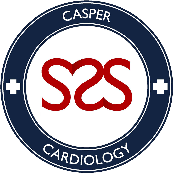 Meet With A Skilled Cardiologist In Casper, Wy - Johnson Brothers Victorian Christmas (made In England) (800x800), Png Download