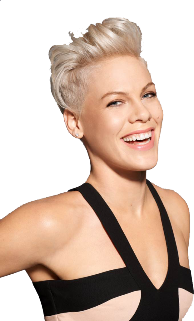 Alecia Moore Png Photos - Alecia Moore P Nk (805x1024), Png Download