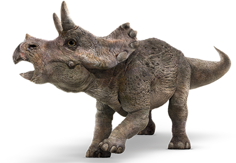 Triceratops - Jurassic World Fallen Kingdom Baby Triceratops (800x339), Png Download