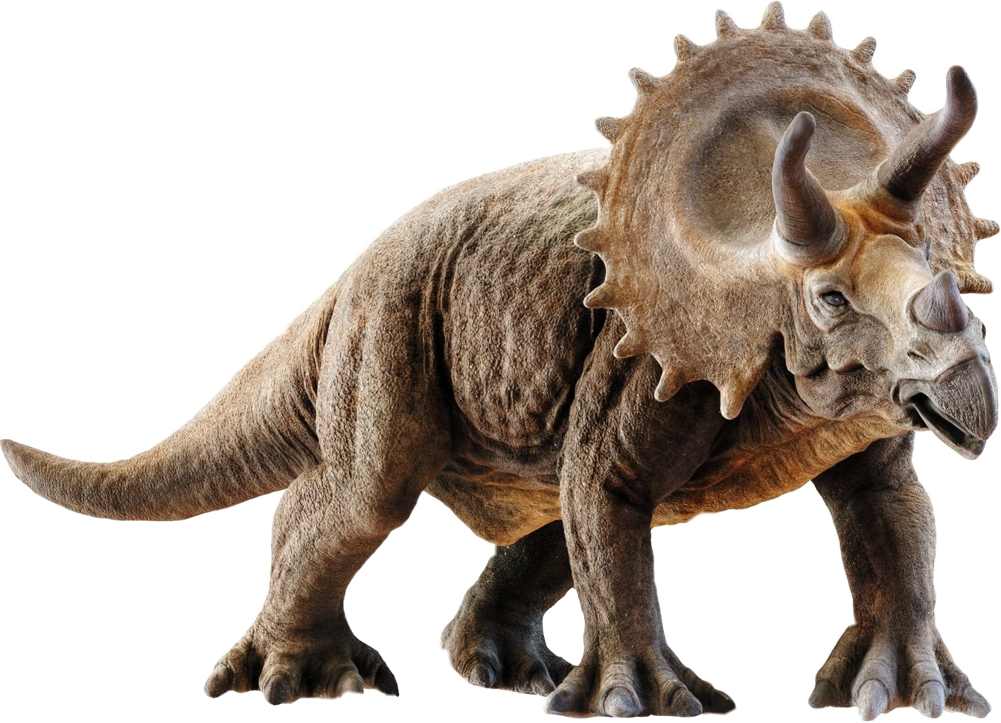 Triceratops - Triceratops 3d Model (500x360), Png Download