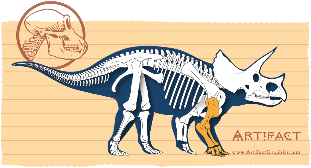 Adult Triceratops Bone Map, Highlighting Front Leg, - Dinosaur (1100x598), Png Download