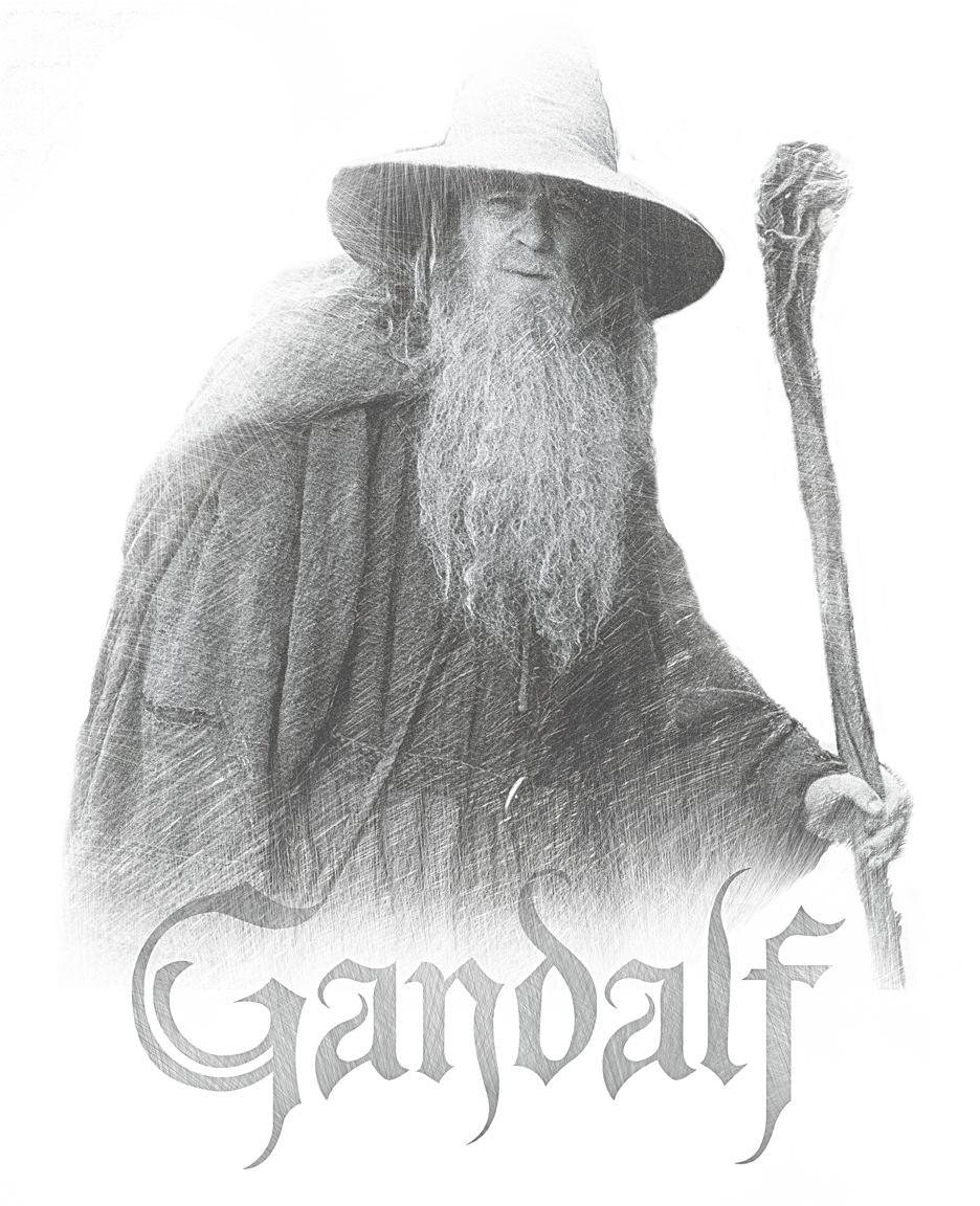 Lord Of The Rings Gandalf The Grey Men's Slim Fit T-shirt (936x1152), Png Download