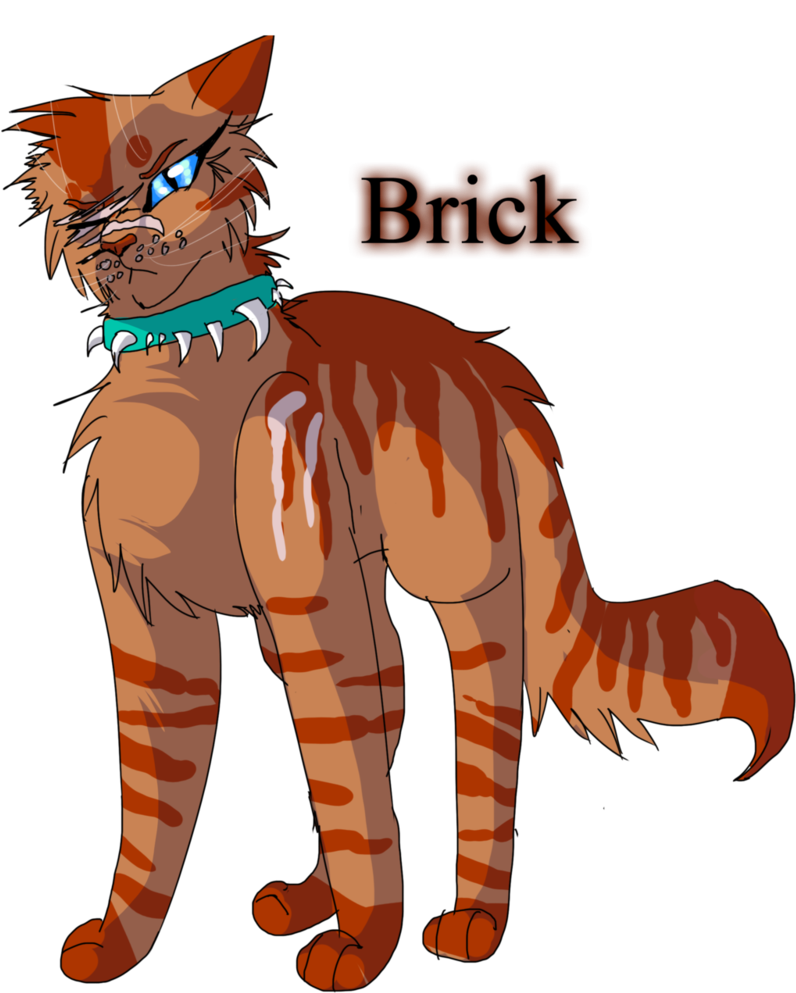 Day Warrior Cats Challenge By Warriorcat - 30 Day Warrior Cat Drawing Challenge (800x1000), Png Download
