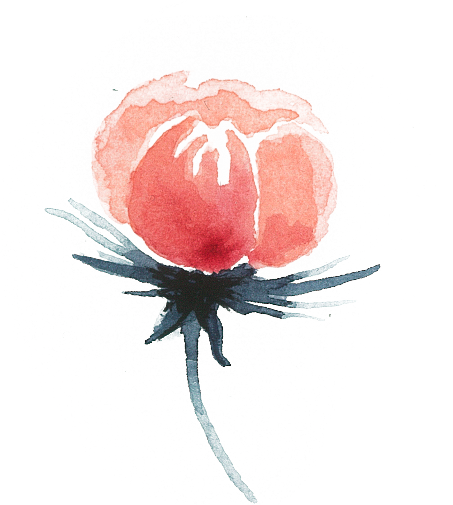 Of A Friends Wedding In The Summer Of - Insect (1920x1796), Png Download