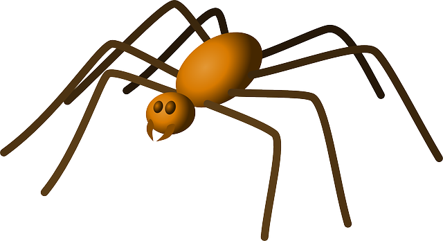 Cartoon, Spider, Bug, Colored, Insect, Walking, Spiders - Brown Spider Clipart (640x348), Png Download