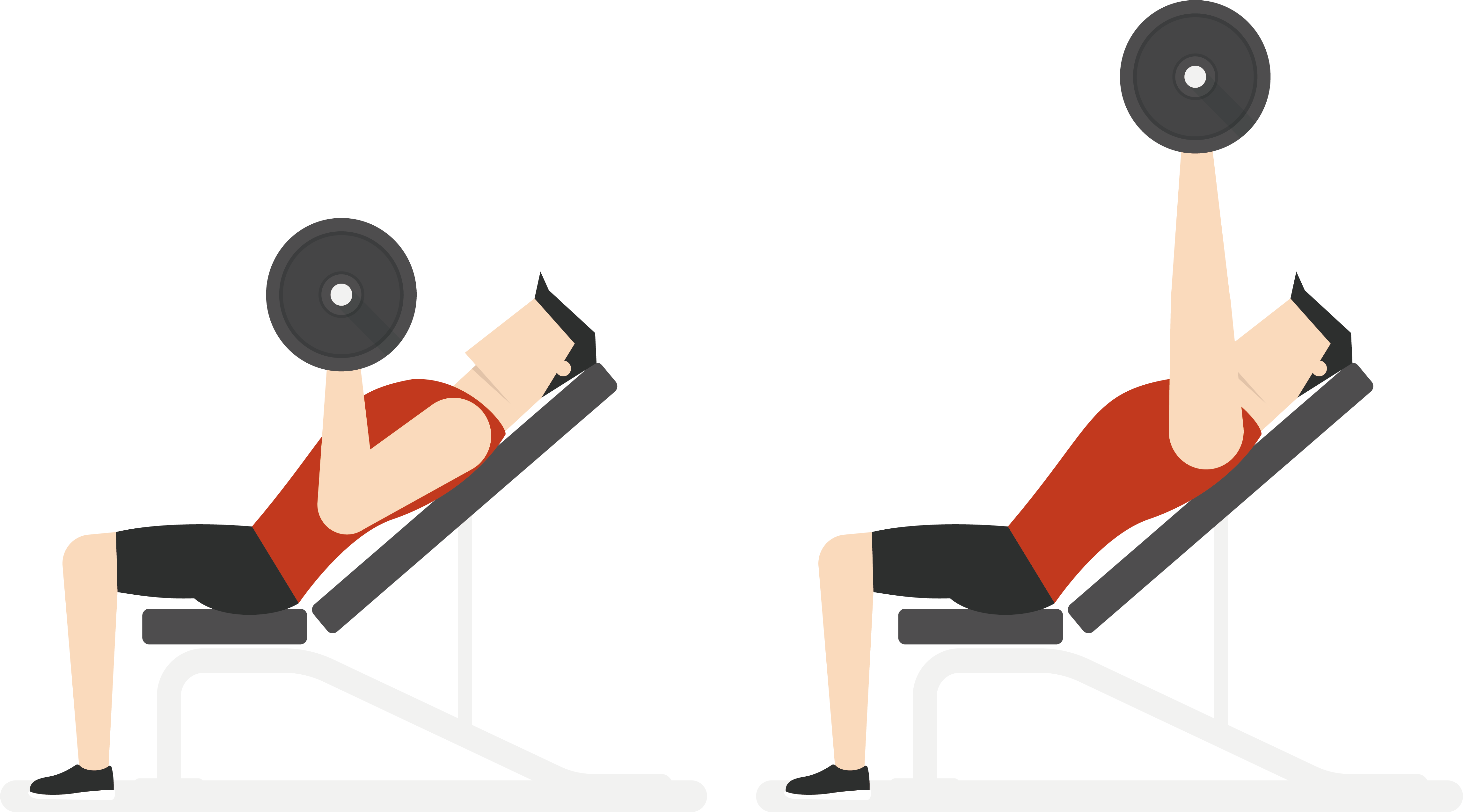 Download Exercise Bench Clipart Transparent - Gym Vector Png PNG Image with  No Background 