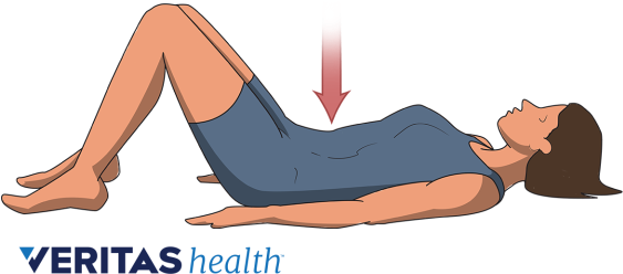 Medical Illustration Of Pelvic Tilt Exercise - Static Lumbar Exercises (576x324), Png Download