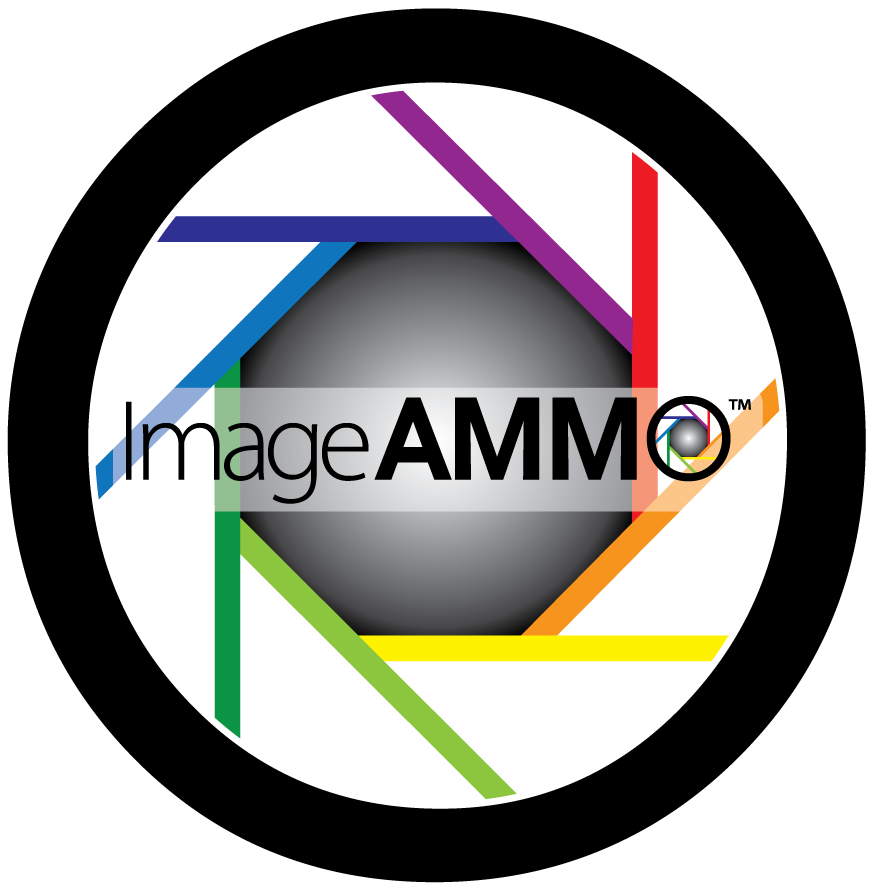 Http - //www - Lighthousescanner - Com/ - Circle (1024x896), Png Download