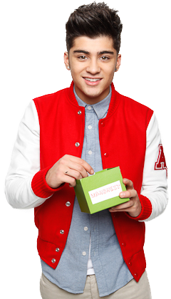 Zayn Malik Png - Zayn Malik / Liam Payne - The Biography By Sarah Oliver (320x439), Png Download