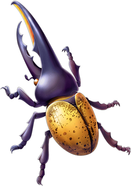 Image Mystic Png Quiz - Beetle Transparent (480x640), Png Download