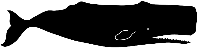 Png Free Stock Humpback Whale Silhouette At Getdrawings - Sperm Whale Vector (640x320), Png Download