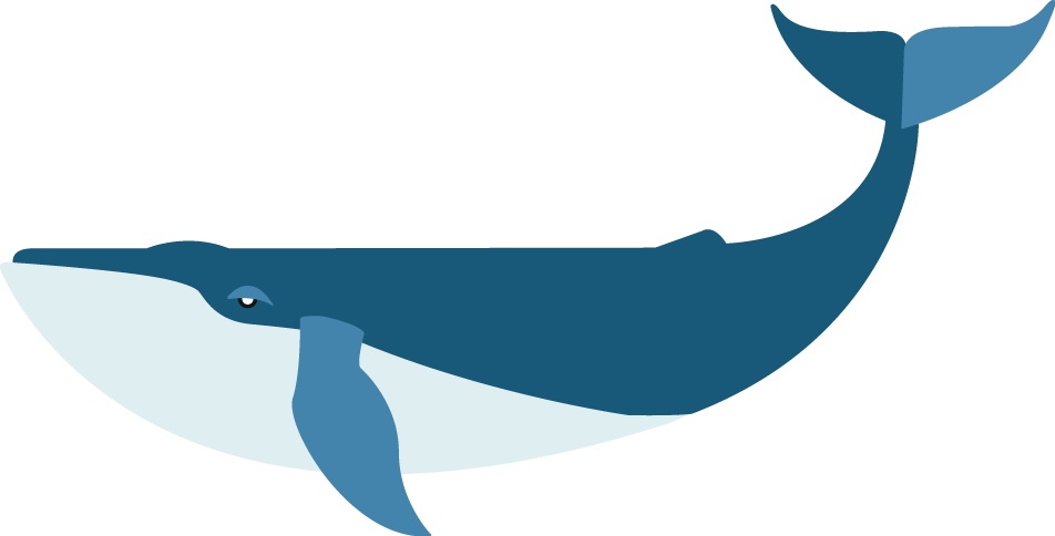 Flat Blue Whale (952x484), Png Download