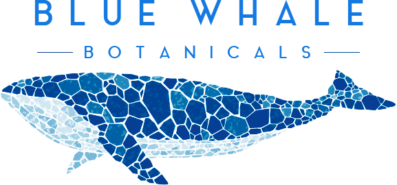 Blue Whale Botanicals - Mosaic Whale (577x270), Png Download