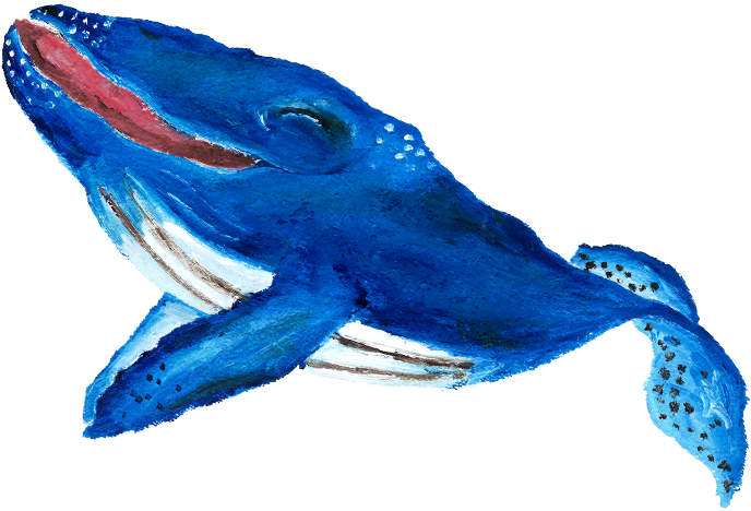 Why Was Will Special Well, He Loved To Sing & Will - Humpback Whale (755x487), Png Download