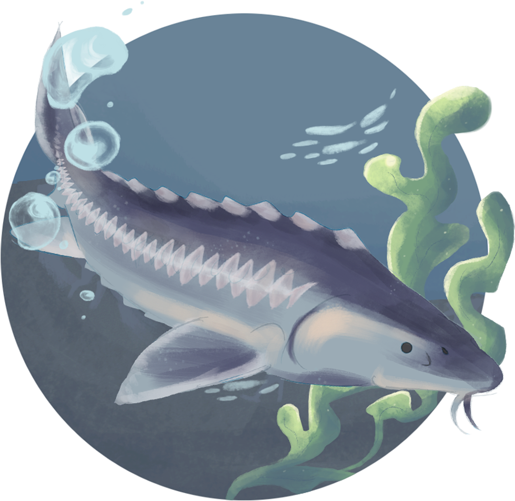 Endangered Species (1920x1920), Png Download