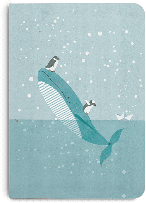 Dailyobjects Blue Whale A6 Notebook Plain Buy Online - Whale Shark (600x700), Png Download