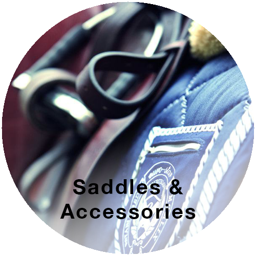 Shop Saddles & Accessories - Equestrianism (500x500), Png Download