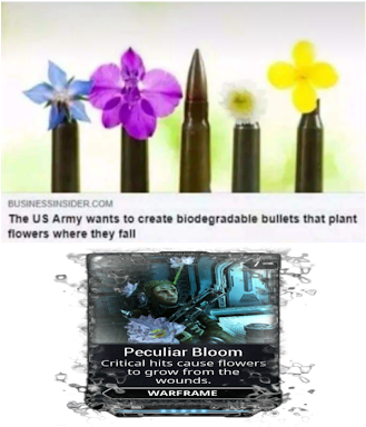 Photo - Biodegradable Bullets Meme (530x398), Png Download