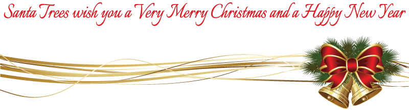 Christmas Bells Decoration - Merry Christmas Decoration Png (800x217), Png Download