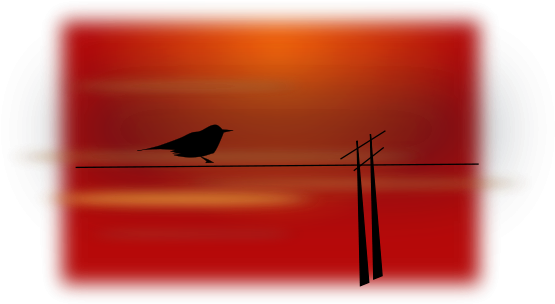 Bird On Wire Png Images (600x311), Png Download