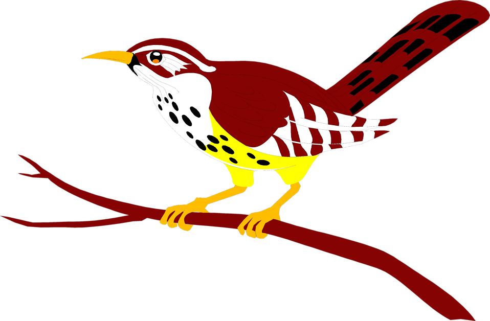 Bird Red - Bird Perched On A Branch Clipart (958x628), Png Download