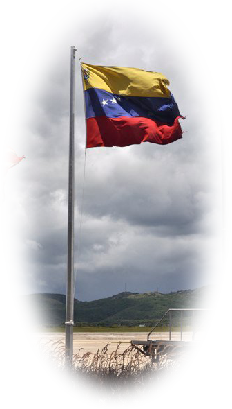 Venezuela, Otra Vez - Flag (336x590), Png Download
