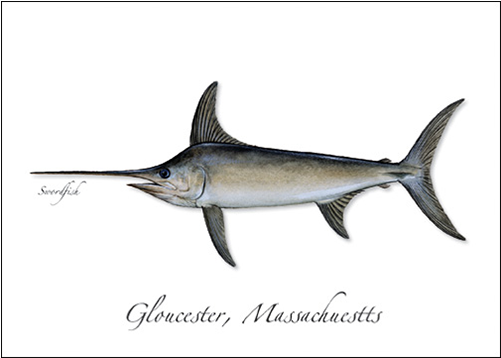 download swordfish marlin vs