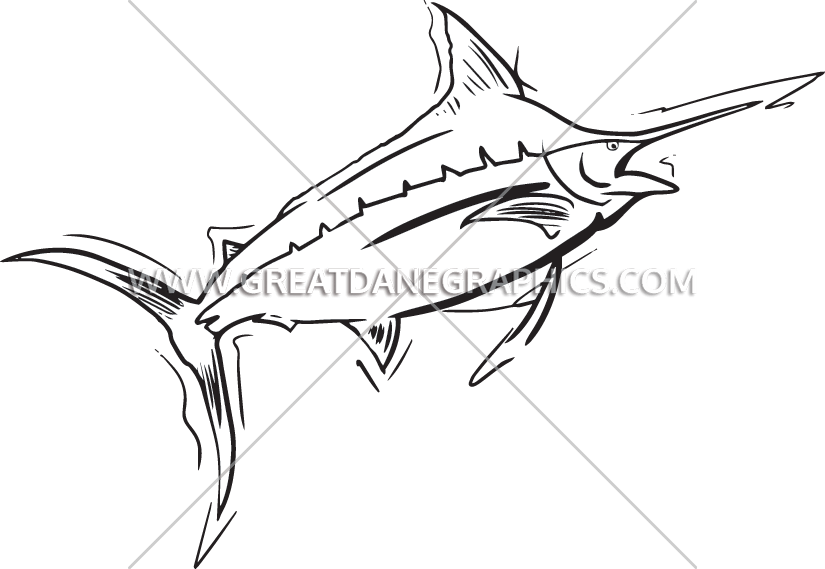 Funky Swordfish - Atlantic Blue Marlin (825x569), Png Download