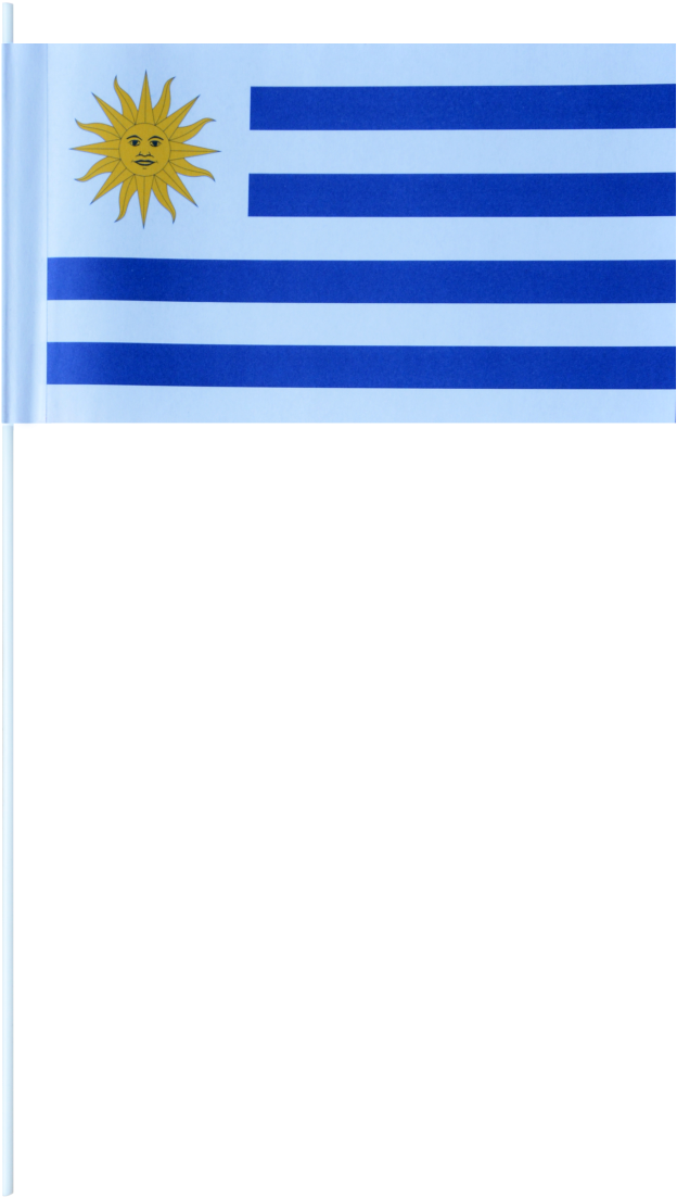 Uruguay Paper Flags - Flag (993x1500), Png Download
