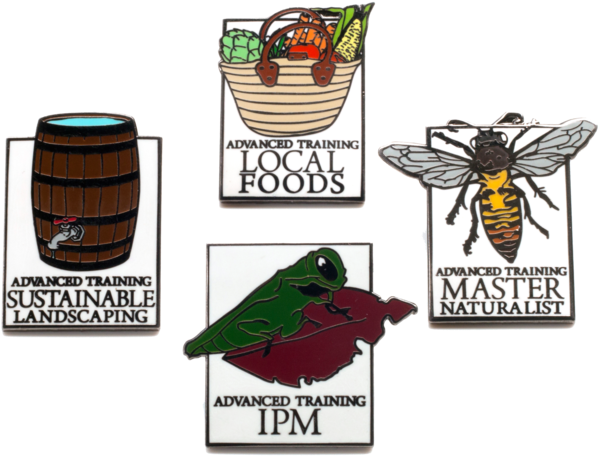 Master Gardener Pins - Illustration (1000x668), Png Download