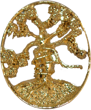 Orthopedic Lapel Pin - Lapel Pin (500x500), Png Download