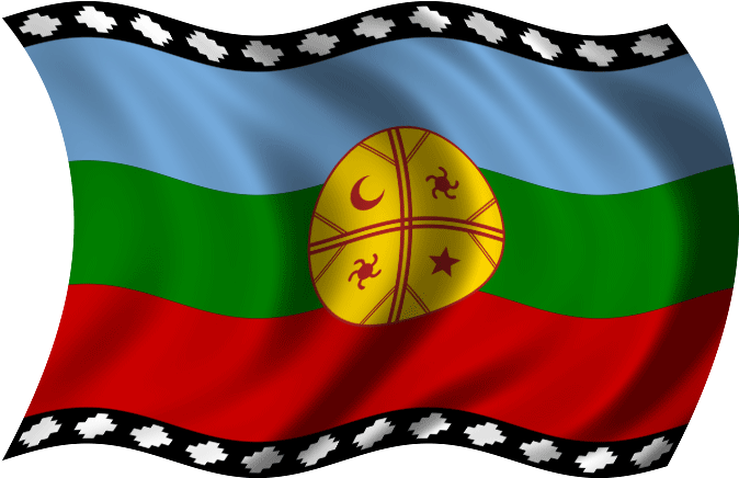 Never Miss A Moment - La Bandera De Los Mapuches (688x459), Png Download