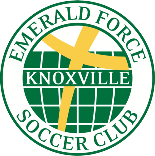 Emerald Force Soccer Club Logo - Emerald Force Sc Logo (499x500), Png Download
