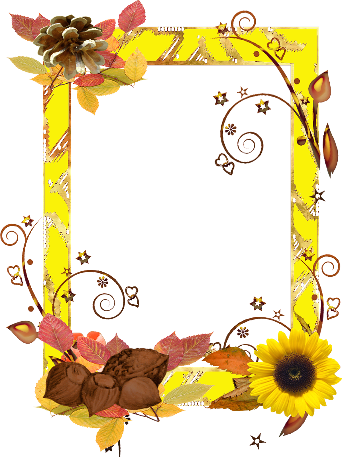 Flower Frame Png, File Size, Backgrounds Free, Resolutions, - Portable Network Graphics (1200x1600), Png Download
