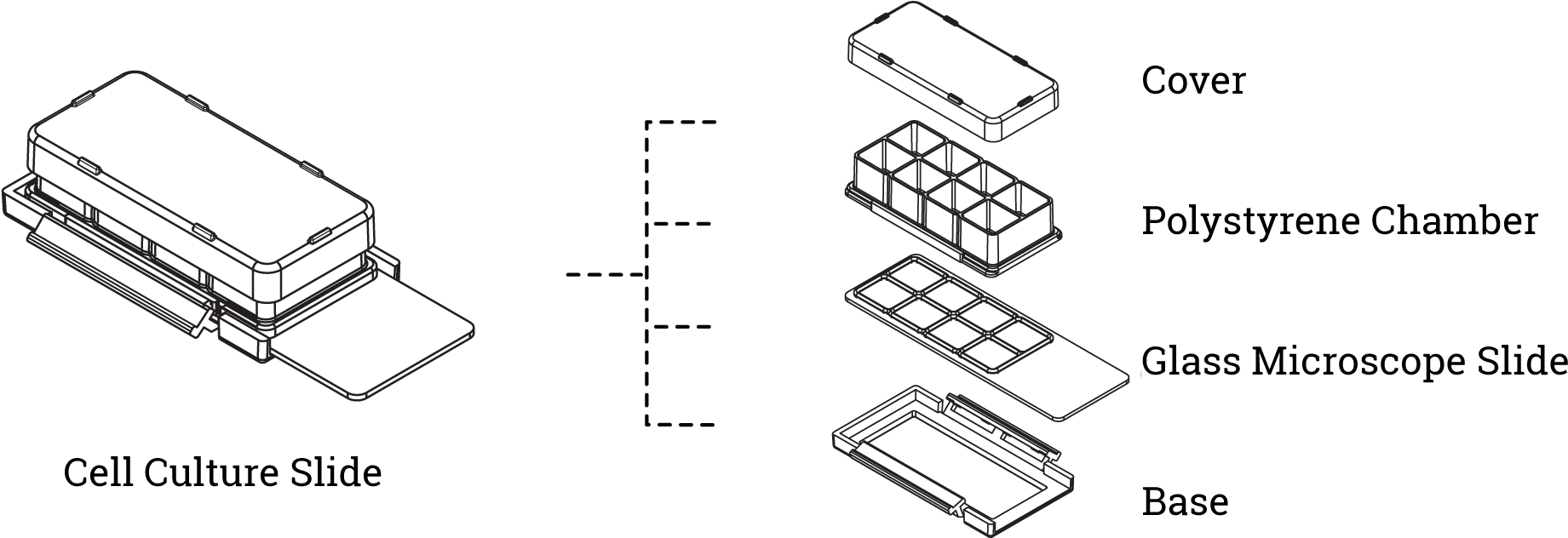 8-well Cell Culture Slides - Chamber Slides For Cell Culture (1950x631), Png Download