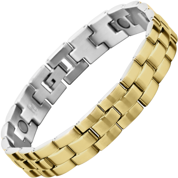 Download Stainless Steel Men S Bracelet With Gold Plated Outer Gold Bracelet For Men Png Png Image With No Background Pngkey Com