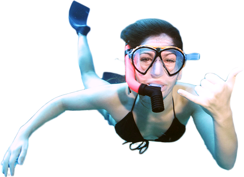 Snorkeling With Underwater Marine Life On The Top Afternoon - Snorkeling (490x356), Png Download