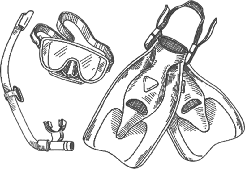 Download Snorkel Drawing Snorkeling Gear Png Royalty Free Download