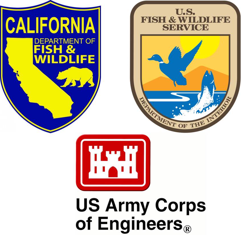 Bia To Honor Local Collaboration Model Between Business - Us Army Corps Of Engineers (845x824), Png Download