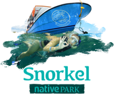 Snorkel Native Park - Flyer (453x453), Png Download