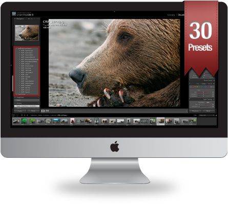 Lightroom Presets Running On Imac - Grizzly Bear (560x400), Png Download