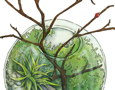 Terrarium - Illustration (404x316), Png Download