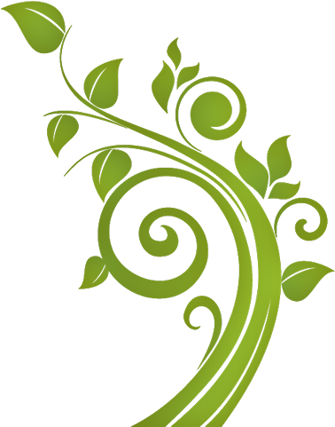 Gd Ss Leaf Swirl - Wall Sticker Floral Vine (423x500), Png Download
