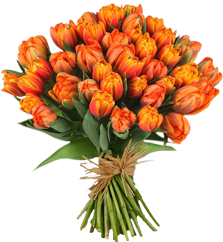 Bouquet Flowers Png - Happy Teachers Day 2018 (459x497), Png Download